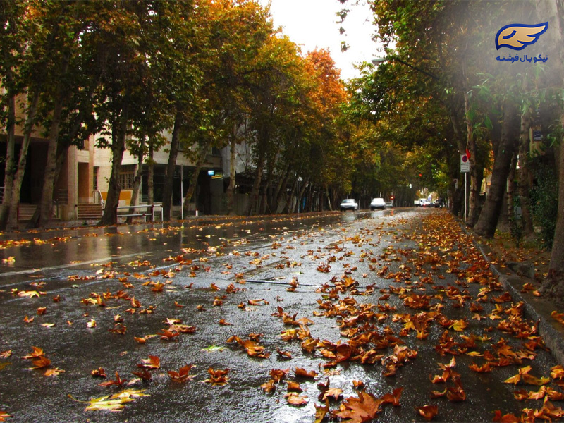 خیابان ولیعصر